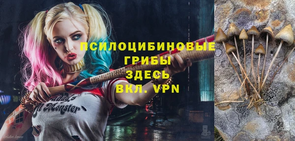 прущие крисы Армянск